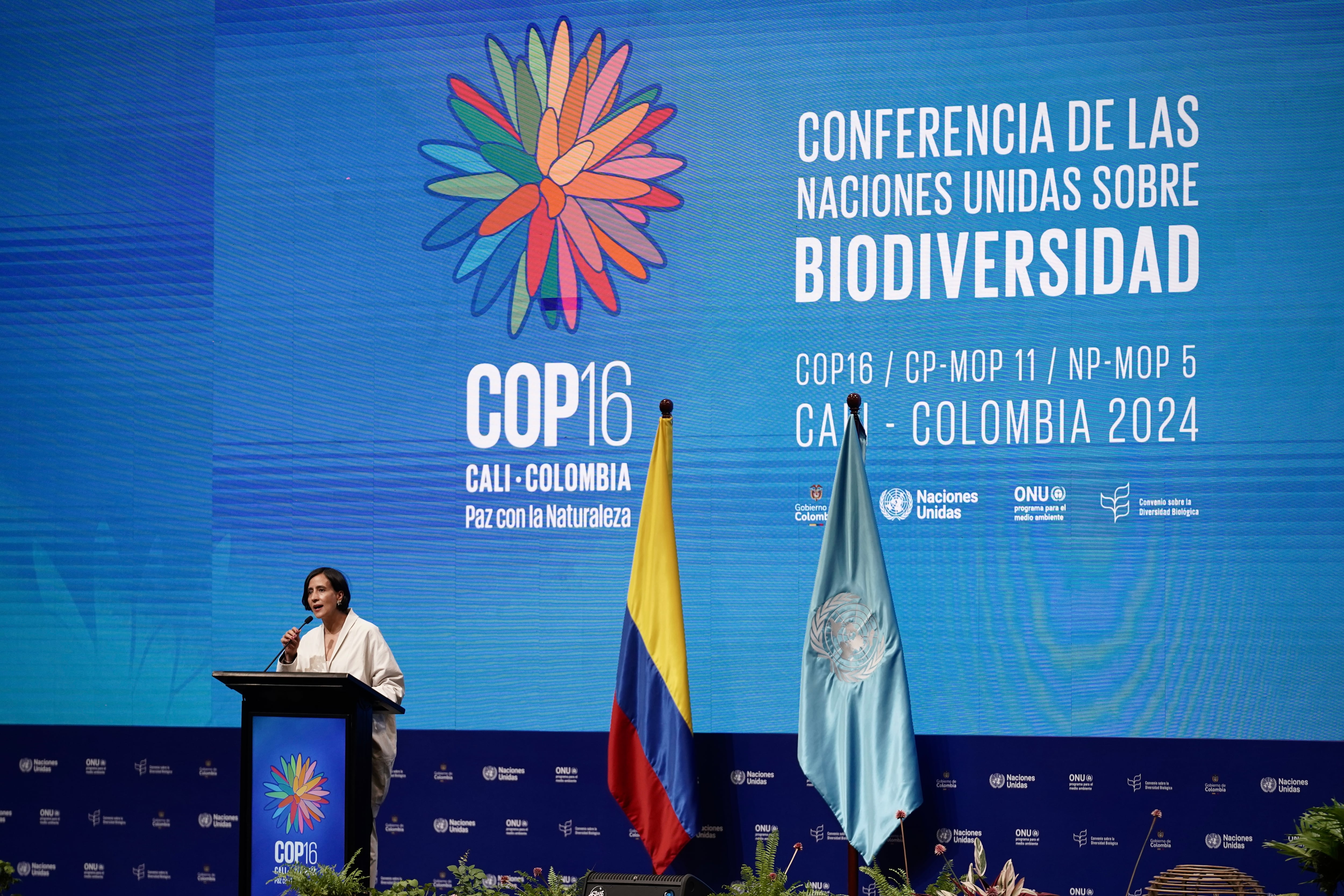 Una guía para seguir la pista de lo que sucede en la COP16 de Cali