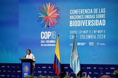 Susana Muhamad, ministra de Ambiente y Desarrollo Sostenible de Colombia, habla durante el acto de inauguracin de la COP16.