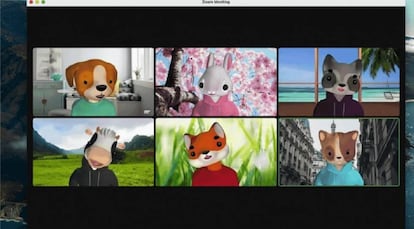 Diferentes avatares de Zoom