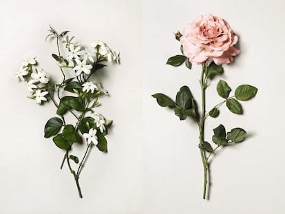 Neroli y rosa: dos de los acordes que inspiran las fragancias.