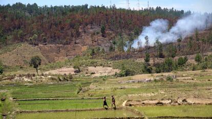 El avance de la agricultura suele llevar aparejada una intensa deforestación como en esta imagen de Madagascar.