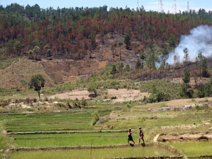 El avance de la agricultura suele llevar aparejada una intensa deforestación como en esta imagen de Madagascar.
