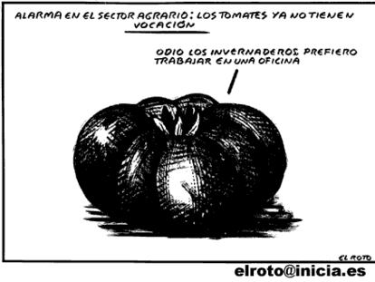 EL ROTO