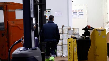 Interior de la nave industrial del polígono de Espíritu Santo, en el municipio coruñés de Cambre, donde fue hallada la droga.