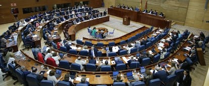 Pleno en la Asamblea de Madrid.