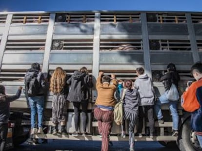 Decenas de personas acuden a las puertas de estos centros para despedir a los animales que serán sacrificados y vigilar las condiciones en las que pasan sus últimos momentos