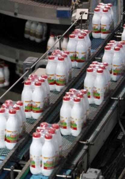 Botellas de leche en la cadena de producción de la fábrica de Central Lechera Asturiana, en Asturias