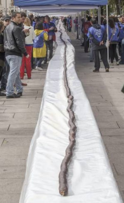 La Capital Espa?ola de la Gastronoma en 2013, la ciudad de Burgos, ha batido un rcord Guiness con la morcilla ms larga del mundo, en el marco del Da Mundial de la Tapa.