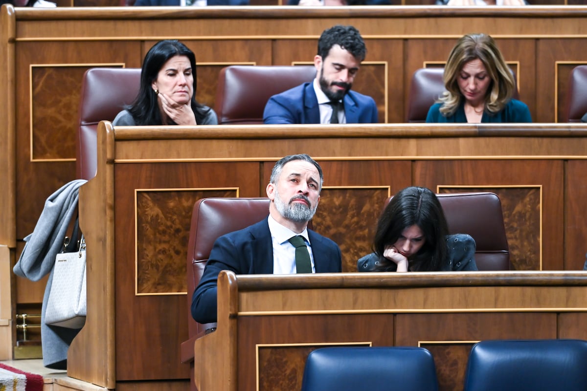 El CIS detecta una caída de Vox de más de dos puntos en el barómetro de marzo