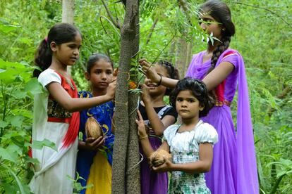 En un rito similar al de Raksha Bandhan, las niñas protegen a los árboles. Se han plantado 285.000 árboles desde que comenzó el proyecto.
