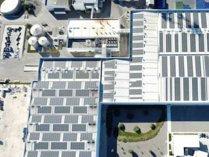 Imagen de los más de 5.700 paneles solares instalados por Quantica Renovables en el tejado del fabricante de zumos de naranja y mandarina Zuvamesa, en Valencia.