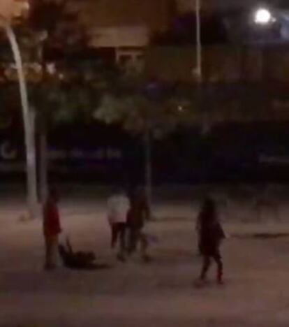 Imagen de un vídeo de la pelea.
