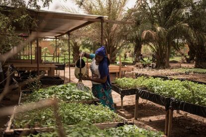 En las afueras de la capital, Ouagadougou, se encuentra el centro experimental La Saisonnière, que permite a las mujeres desfavorecidas cultivar un terreno con técnicas agroecológicas. La idea es promover también una agricultura urbana gracias a pequeños huertos familiares, donde optimizar el uso del agua y el espacio.