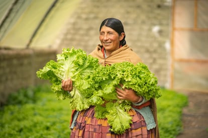 En Bolivia, 128.000 productores están adoptando prácticas de agricultura climáticamente inteligentes.
