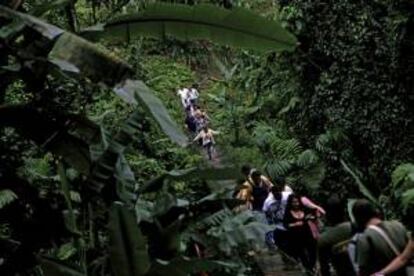 Turistas recorren un camino en la Reserva Natural Patrocinio, a cuatro kilómetros del volcán Santiaguito, en Quetzaltenango (Guatemala). EFE/Archivo