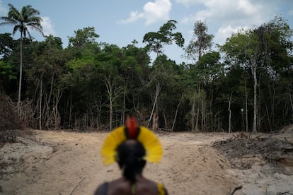 Un indígena kayapó en una senda abierta por madereros ilegales en Altamira (Pará) en 2019