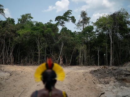 Un indígena kayapó en una senda abierta por madereros ilegales en Altamira (Pará) en 2019