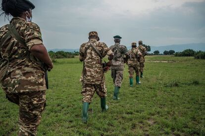 Con disciplina militar, los guardabosques patrullan en fila india, sin hacer ruidos fuertes, atentos a todos los detalles.