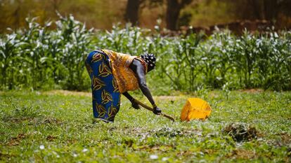 Bam, una provincia de Burkina Faso, azotada por la migración tras las sequías y el cambio climático.