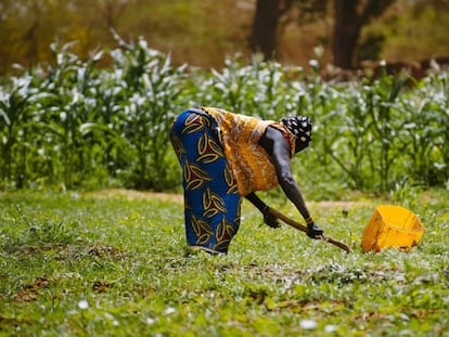 Bam, una provincia de Burkina Faso, azotada por la migración tras las sequías y el cambio climático.