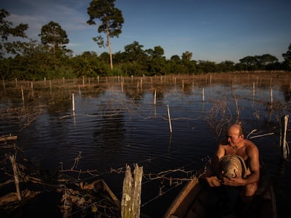 El agricultor Noé Vieira do Carmo, de 44 años, muestra la magnitud del daño de las inundaciones a su plantación de maracuyá, el 23 de mayo de 2021, en la comunidad de Vila do Cuinha de Amazonas (Brasil). "