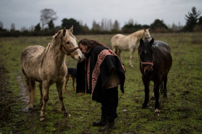 Para la mayoría de los mapuches, la violencia en contra de las industrias agrícola, maderera y energética solo desestabiliza aún más el equilibrio deseado entre las personas, el espacio natural al que pertenecen y los espíritus que lo habitan. "Pisotear un crucifijo —como hicieron algunos manifestantes en los levantamientos masivos de 2019—, es tan doloroso y satánico como represar un río", dijo el líder indígena y mediador Andrés Antivil. En la imagen, Antivil saluda a sus caballos en la comunidad de Regalil, al sur de Chile, el 9 de julio de 2022.