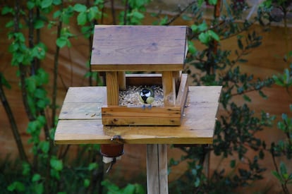 Producto de un taller comedor para aves de SEO BirdLife