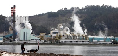 Planta de Ence en Pontevedra, Galicia. 