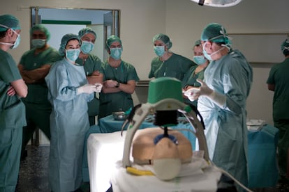 Miembros del equipo de transplantes de órganos de un hospital de Granada. M. ZARZA