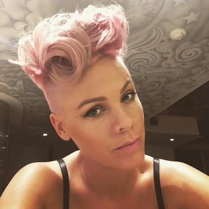 Su nombre artístico es Pink, así que no es de extrañar que a lo largo de su carrera la cantante se haya teñido de rosa en varias ocasiones.