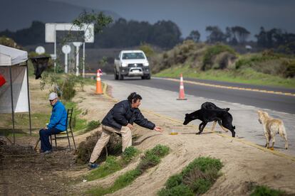 Pescadores que se encuentran en la toma, comparten su almuezo con los perros callejeros que llegan hasta el lugar en busca de alimentos.