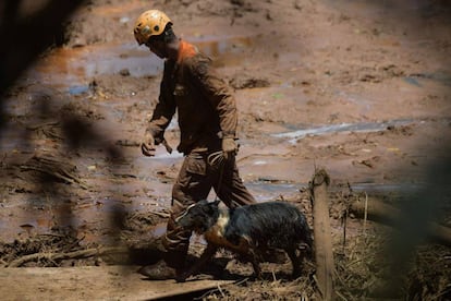 Um bombeiro caminha com um cachorro na região atingida pelo mar de lama que devastou Brumadinho. Desde o domingo, 27 de janeiro, veterinários voluntários trabalham para a retirada de animais das casas afetadas pela tragédia com a barragem da Vale.