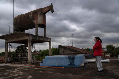 En el extrarradio de la capital argentina, un área habitada por unas 11 millones de personas, proliferan todo tipo de esculturas y edificaciones elaboradas por entusiastas artistas locales. En la imagen, Liliana Gutiérrez, habitante del barrio de San Jorge, mira el tanque de agua con forma de caballo que construyó su padre, Gervasio Gutiérrez, sobre el techo de su vivienda.