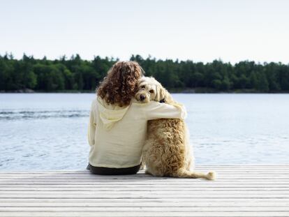Botiquín canino para evitar sustos en las excursiones de verano con las mascotas