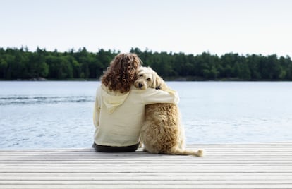 Botiquín canino para evitar sustos en las excursiones de verano con las mascotas
