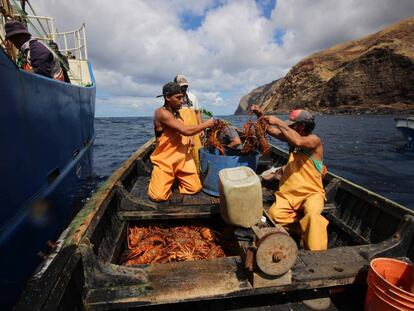 Pescadores de langostas en el archipiélago Juan Álvarez.