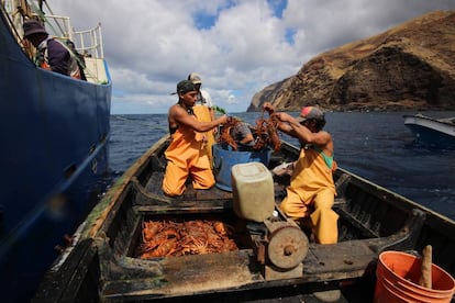 Pescadores de langostas en el archipiélago Juan Álvarez.