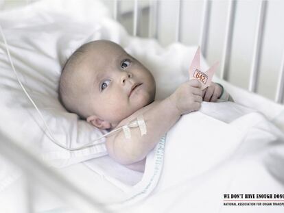 National Association of Organ Transplant