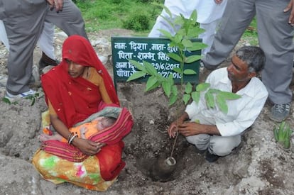 Pura y su marido Shubhum Singh plantan un árbol en honor al nacimiento de su hija Disha, en Piplantri (India), en junio de 2013.