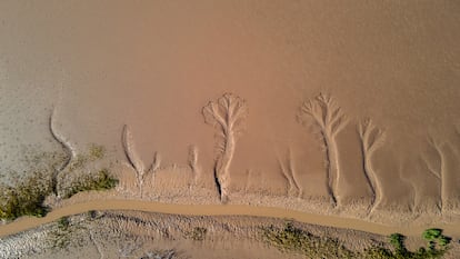 Figuras provocadas por la sequía y erosión en el lodo del estuario del delta del río Colorado, al sur de Mexicali, Estado de Baja California (México).