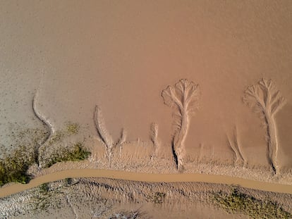 Figuras provocadas por la sequía y erosión en el lodo del estuario del delta del río Colorado, al sur de Mexicali, Estado de Baja California (México).