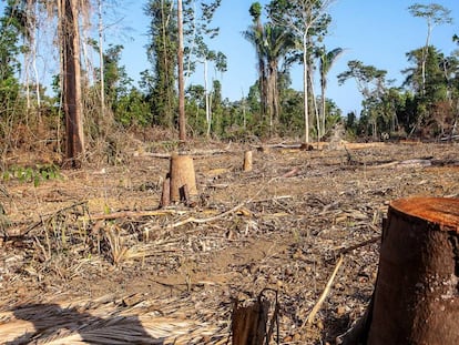 Operação realizada pelo IBAMA - Instituto Brasileiro do Meio Ambiente e dos Recursos Naturais Renováveis - com o apoio policial da Força Nacional, na Terra Indígena Ituna-Itatá, na bacia do rio Xingu. 