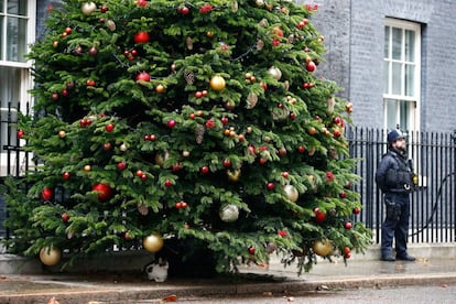 El gato Larry descansa bajo el árbol de navidad de la oficina de la Primera Ministra británica, Theresa May, en la calle Downing en Londres (Reino Unido), el 3 de diciembre.