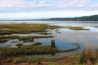 Espacio natural muy fraccionado que abarca el istmo de La Lanzada, parte del litoral de la península de O Grove, ensenadas de O Bao y del río Umia y la orilla sur de la isla de Arousa. Grandes arenales, llanuras intermareales, marismas y la única laguna costera de la provincia de Pontevedra. El complejo intermareal Umia-O Grove es el lugar perfecto, por su poca profundidad y poco movimiento de aguas, para que las aves pasen el invierno o descansen durante sus migraciones. Especialmente en la ensenada de O Bao podemos ver garzas reales, zarapitos, ánades o correlimos.