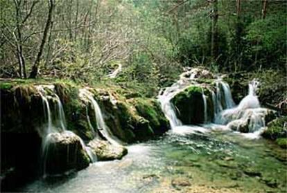 El río Cuervo, en su origen.