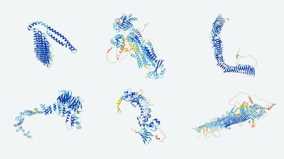 Estructuras de proteínas predichas por el sistema de inteligencia artificial 'AlphaFold'.