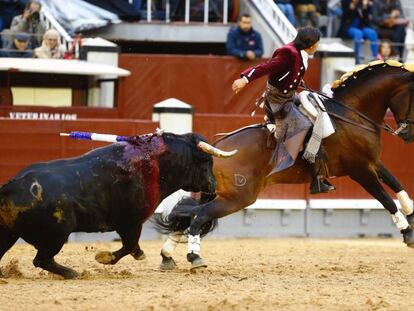 El caballo Sueño