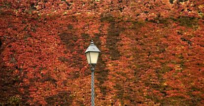 Manto rojo de hojas en los jardines del Castillo de Buda (Budai Vár).