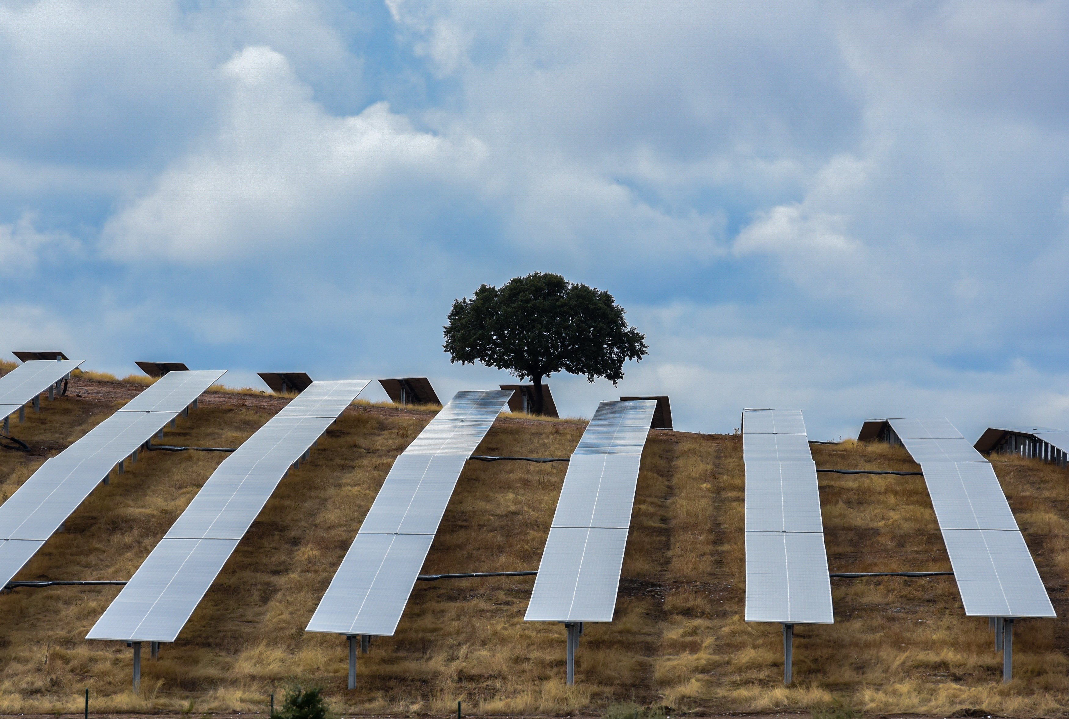 Fondos de inversión que combaten el cambio climático: dónde invierten y cuánto rentan