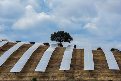 Instalaciones fotovoltaicas de Iberdrola.